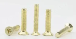 Golden Flat Head Screws M6*165